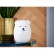 Ночник LED Bear