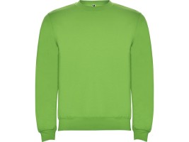 Свитшот с начесом Clasica унисекс