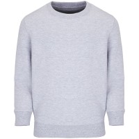 Свитшот детский Columbia Kids, серый меланж