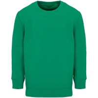 Свитшот детский Columbia Kids, ярко-зеленый