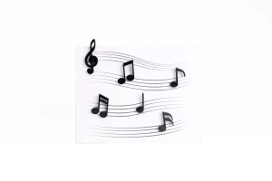 МАГНИТЫ MEMODY MAGNET (6 ШТ. / УПАК.), чёрные