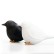 Набор для специй Sparrow Salt & Pepper