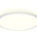Умная потолочная лампа IoT Light DL442
