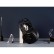 Беспроводные наушники Mysound BH-10