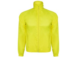 Ветровка Kentucky мужская