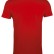 Футболка мужская Regent Fit 150, красная