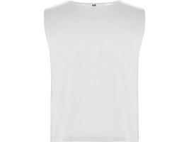 Спортивная безрукавка Ajax, унисекс