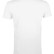 Футболка мужская Regent Fit 150, белая
