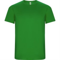 Спортивная футболка IMOLA мужская, ПАПАРОТНИКОВЫЙ