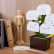 Органайзер настольный Bonsai 