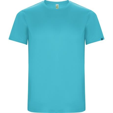 Спортивная футболка IMOLA мужская, БИРЮЗОВЫЙ