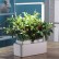 Компактный смарт-сад iGarden LED с подсветкой