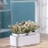 Компактный смарт-сад iGarden LED с подсветкой