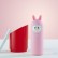Внешний аккумулятор NEO Rabbit Cry, 5000 mAh